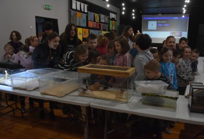 Ferie z Domem Kultury 2023